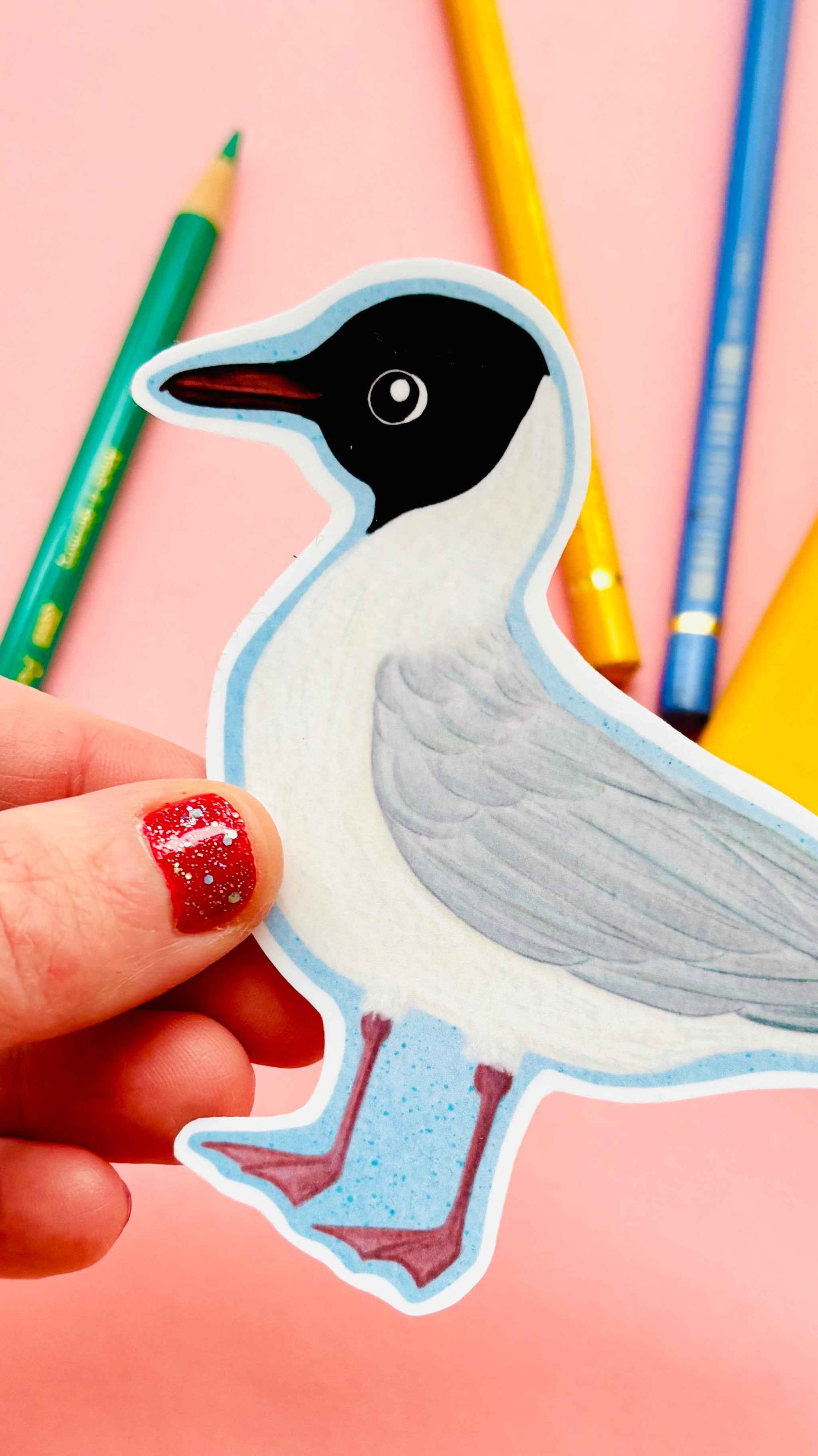 Black headed Gull Illustrated Vinyl Sticker