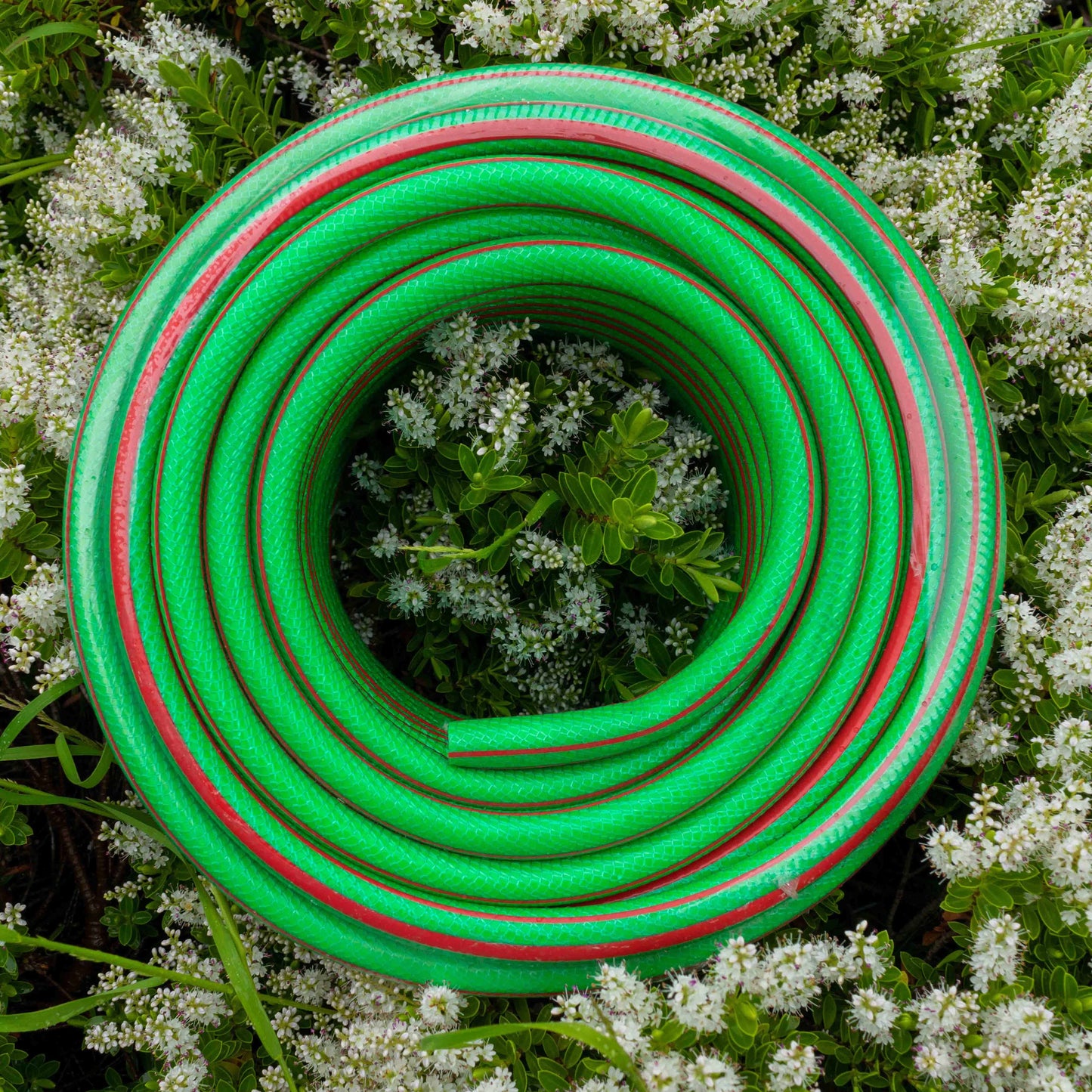 Premium Garden Hose 6-Layer 1/2in Pipe Green Outdoor Watering Kit Lawn Sprinkler