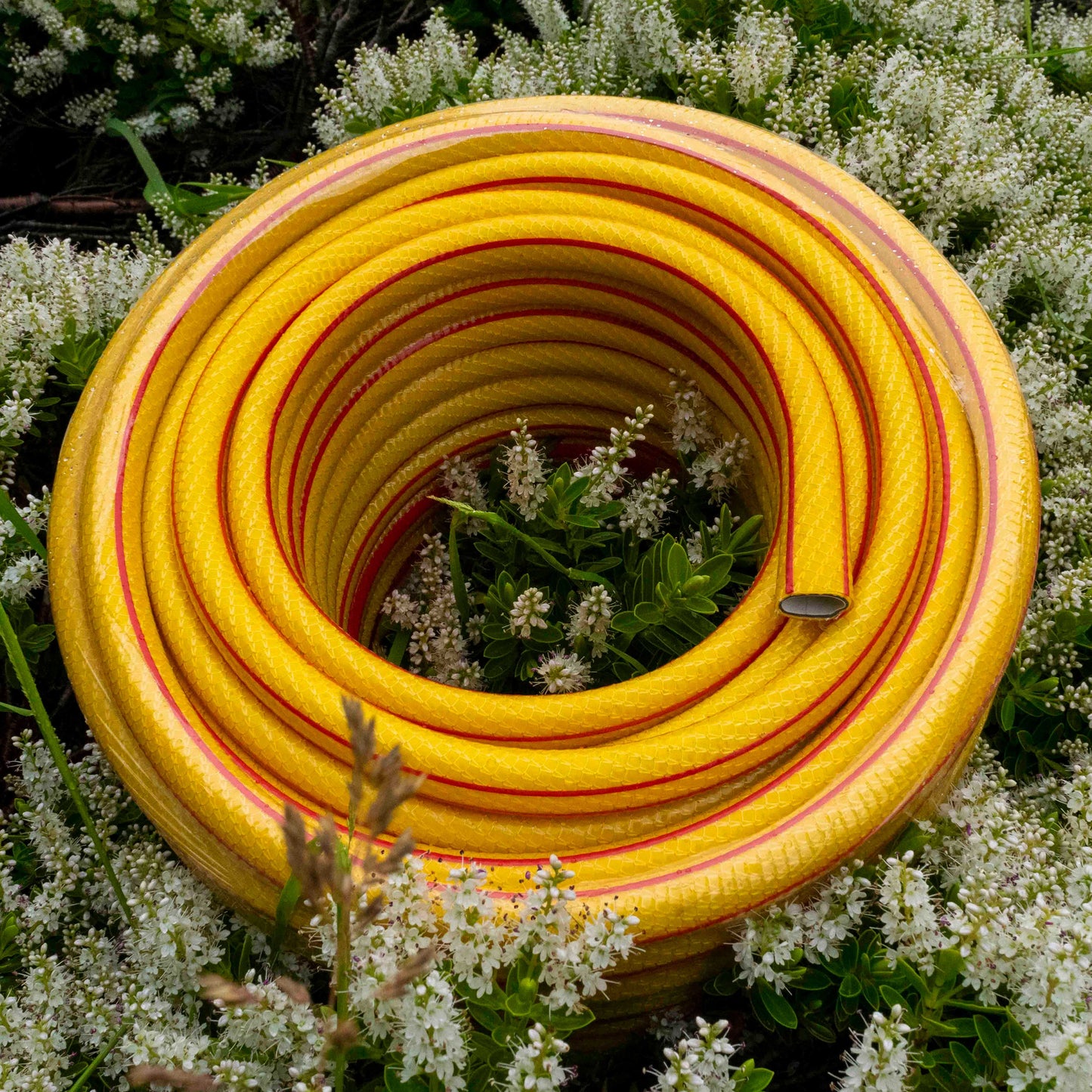 Premium Garden Hose 6-Layer 1/2in Pipe Yellow Water Flow Control Garden Watering
