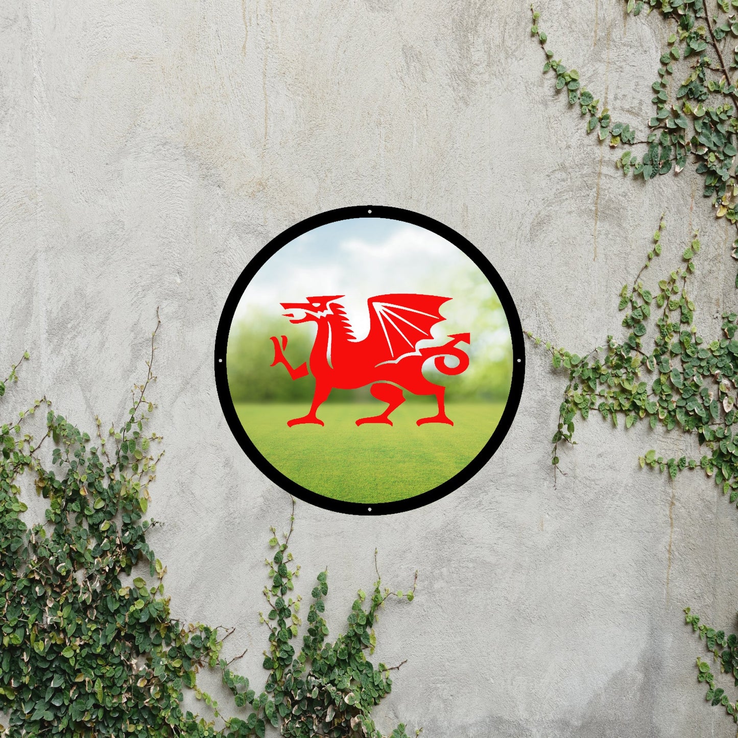 Welsh Dragon Garden Mirror