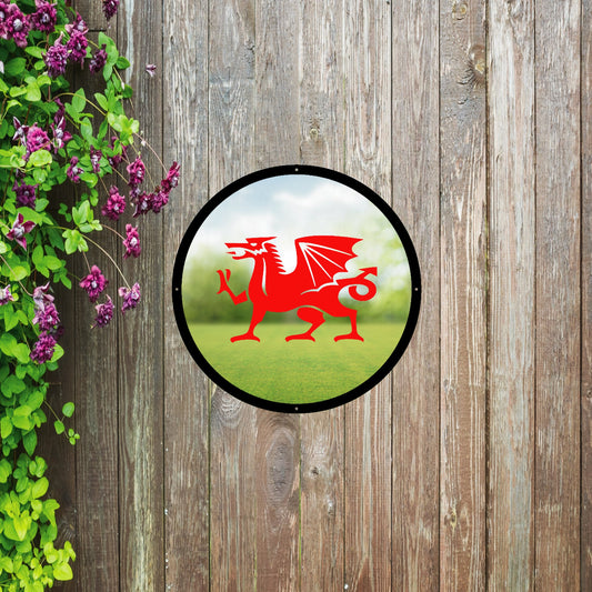 Welsh Dragon Garden Mirror