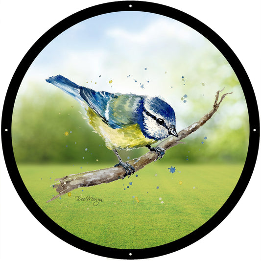 Blue Tit Garden Mirror