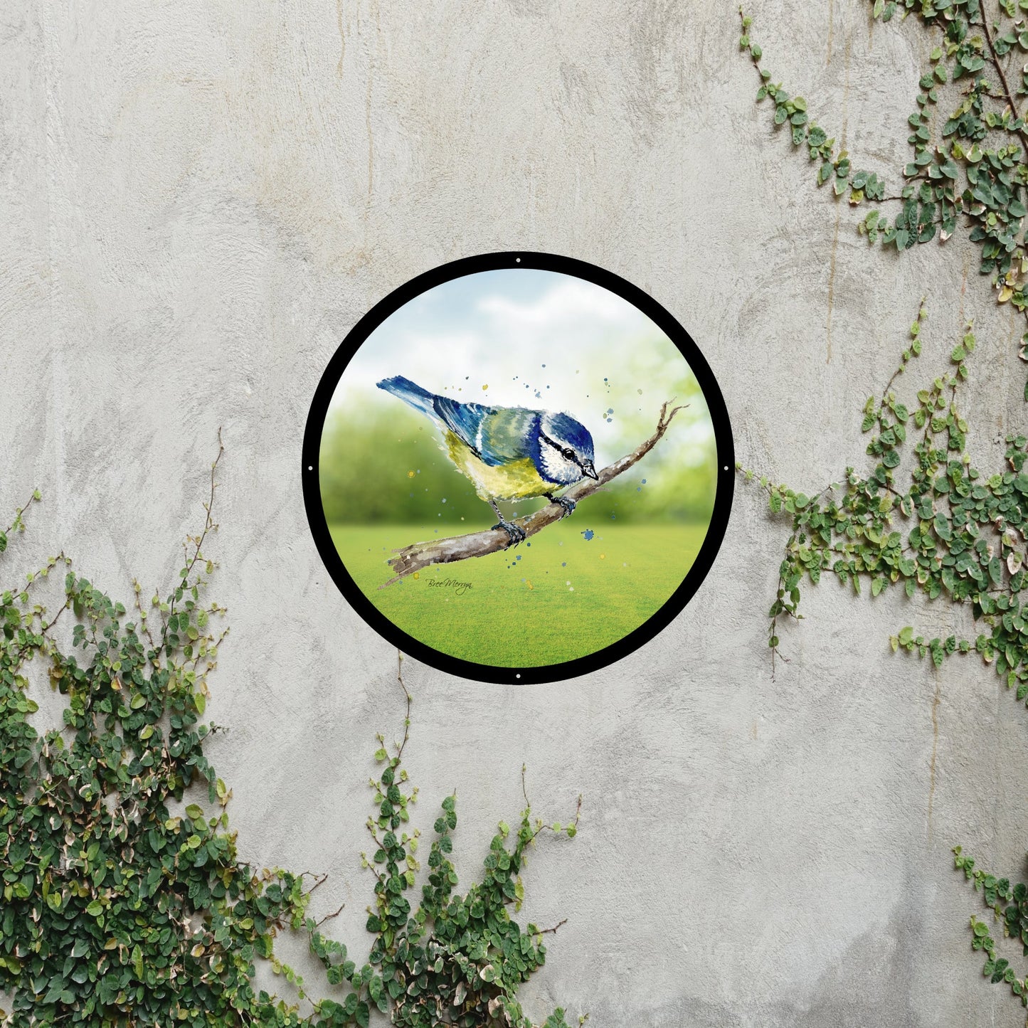 Blue Tit Garden Mirror