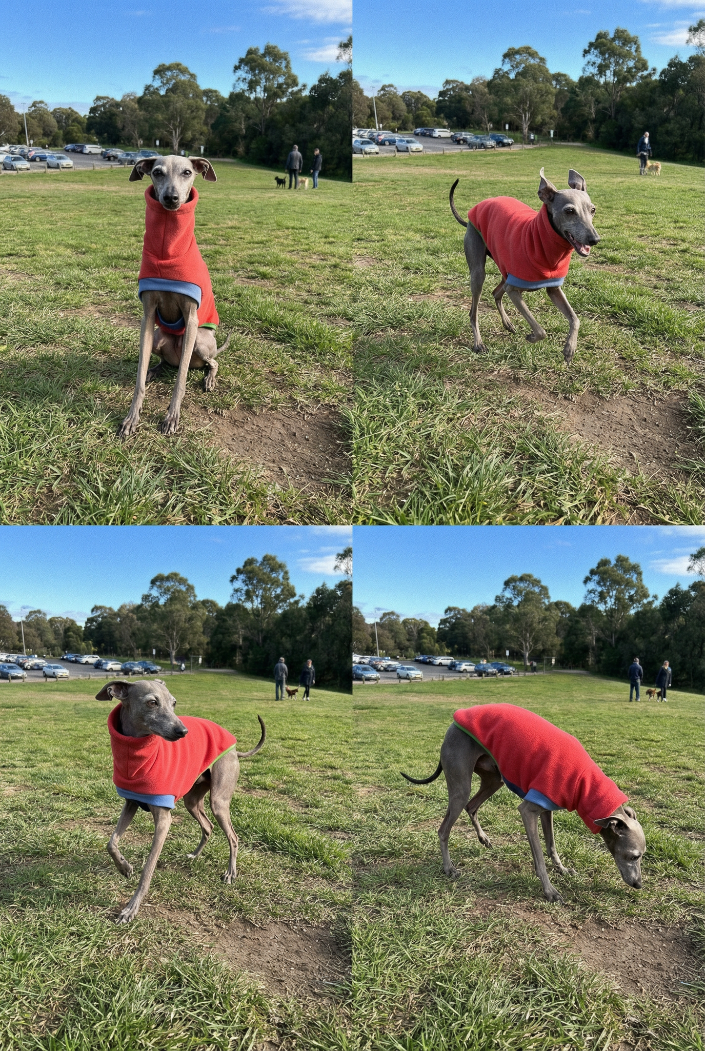 Open-Leg Fleece Vest - Coral