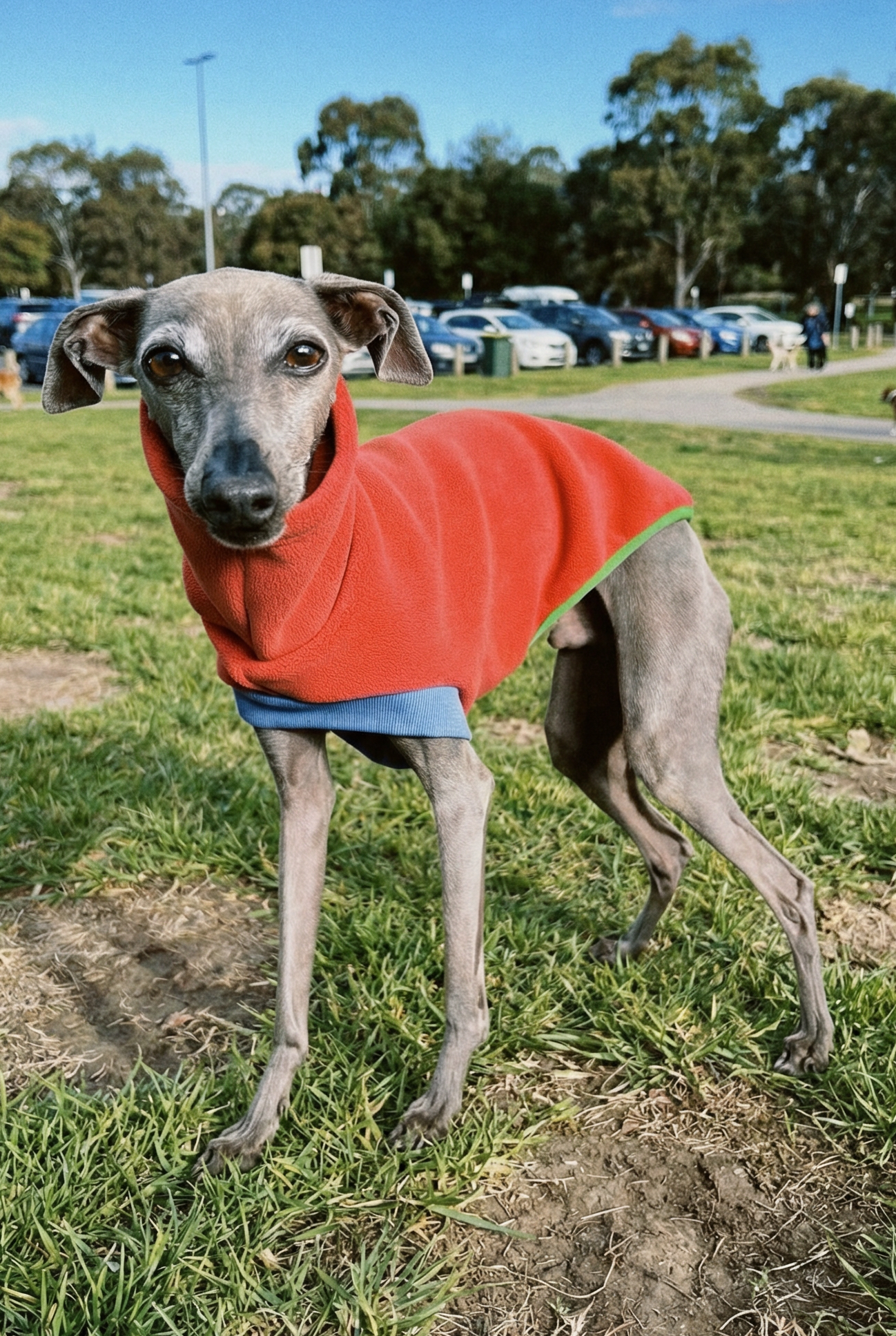 Open-Leg Fleece Vest - Coral