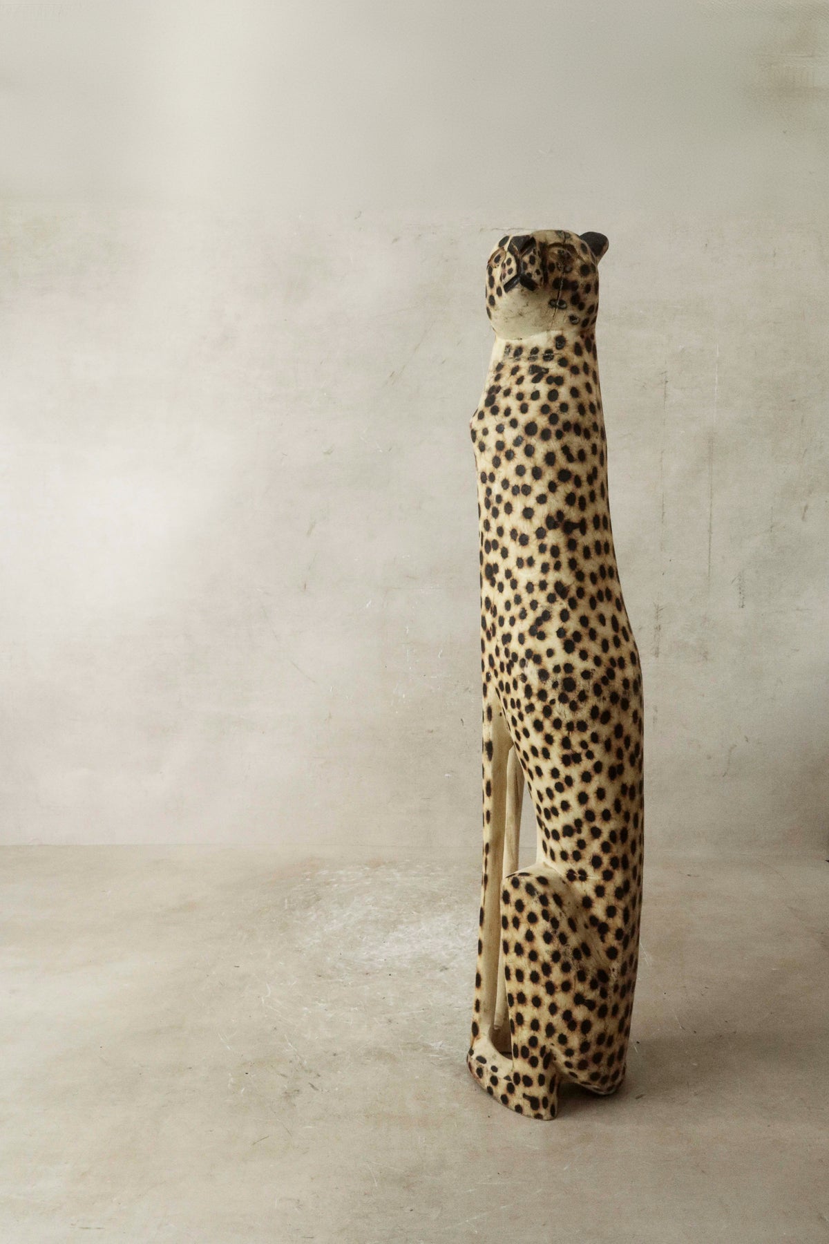 Swazi Cheetah - 37.2