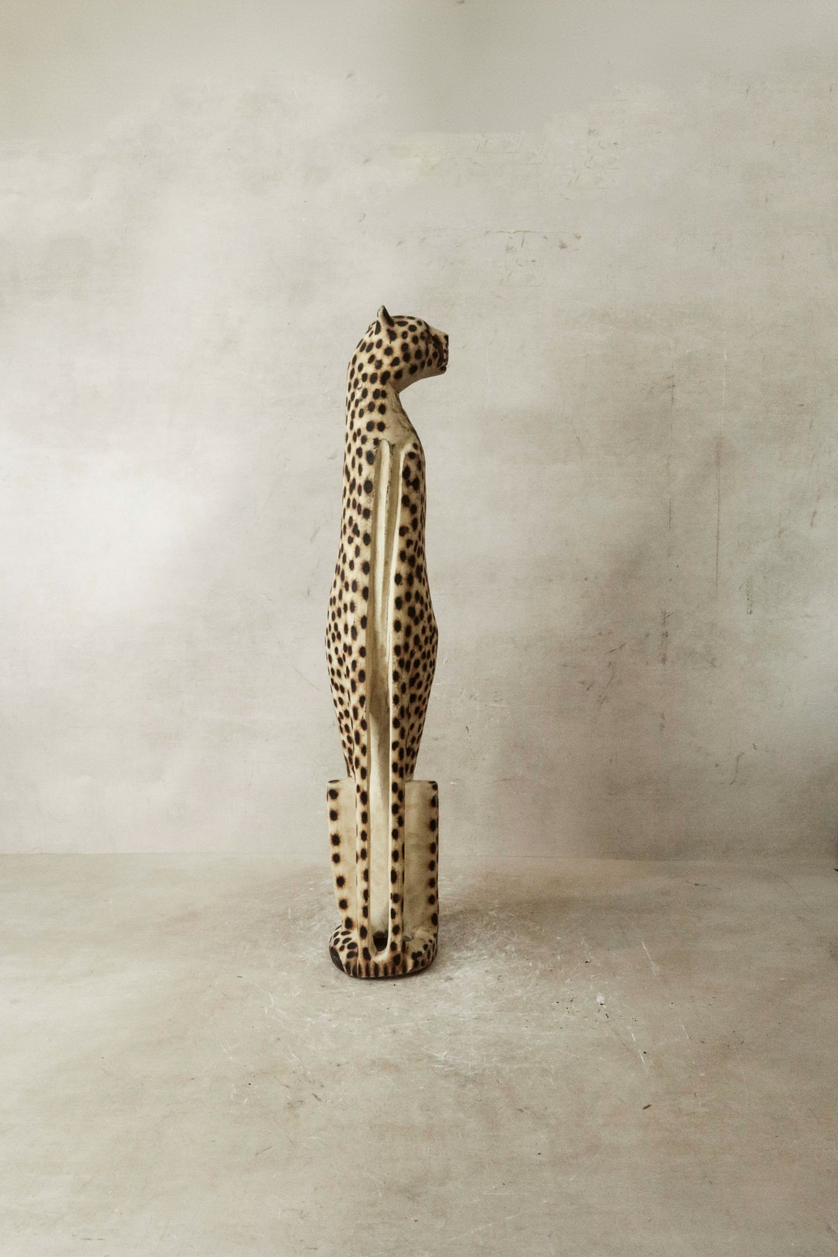 Swazi Cheetah - 37.2