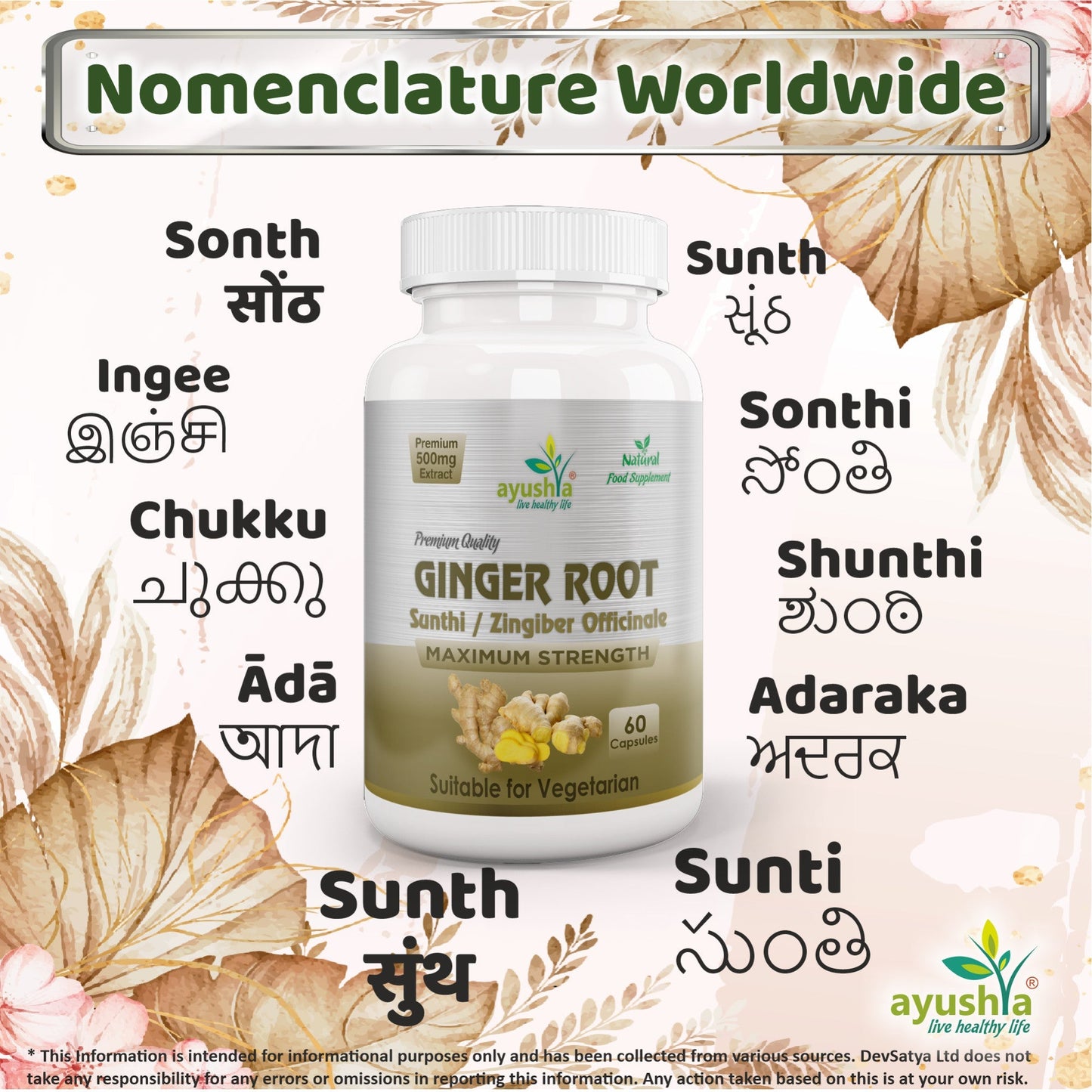 Ayushya Ginger Capsules (Adrak, Sunthi) Digestive Comfort Support - Vegan, Gluten Free, Non-GMO, 60 Capsules
