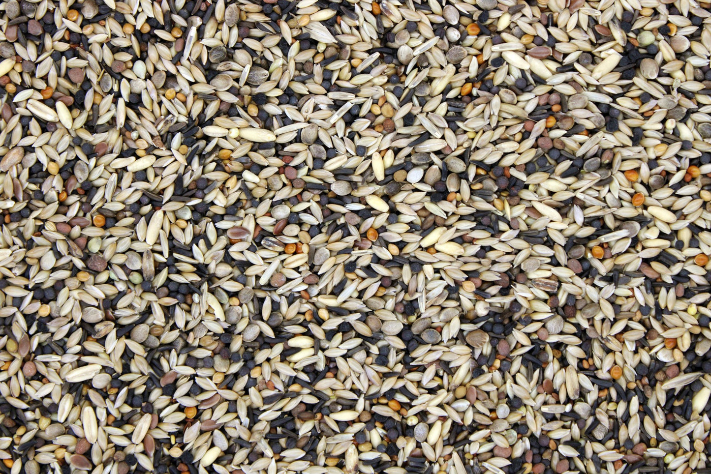 Bamfords Goldfinch & Siskin 20kg