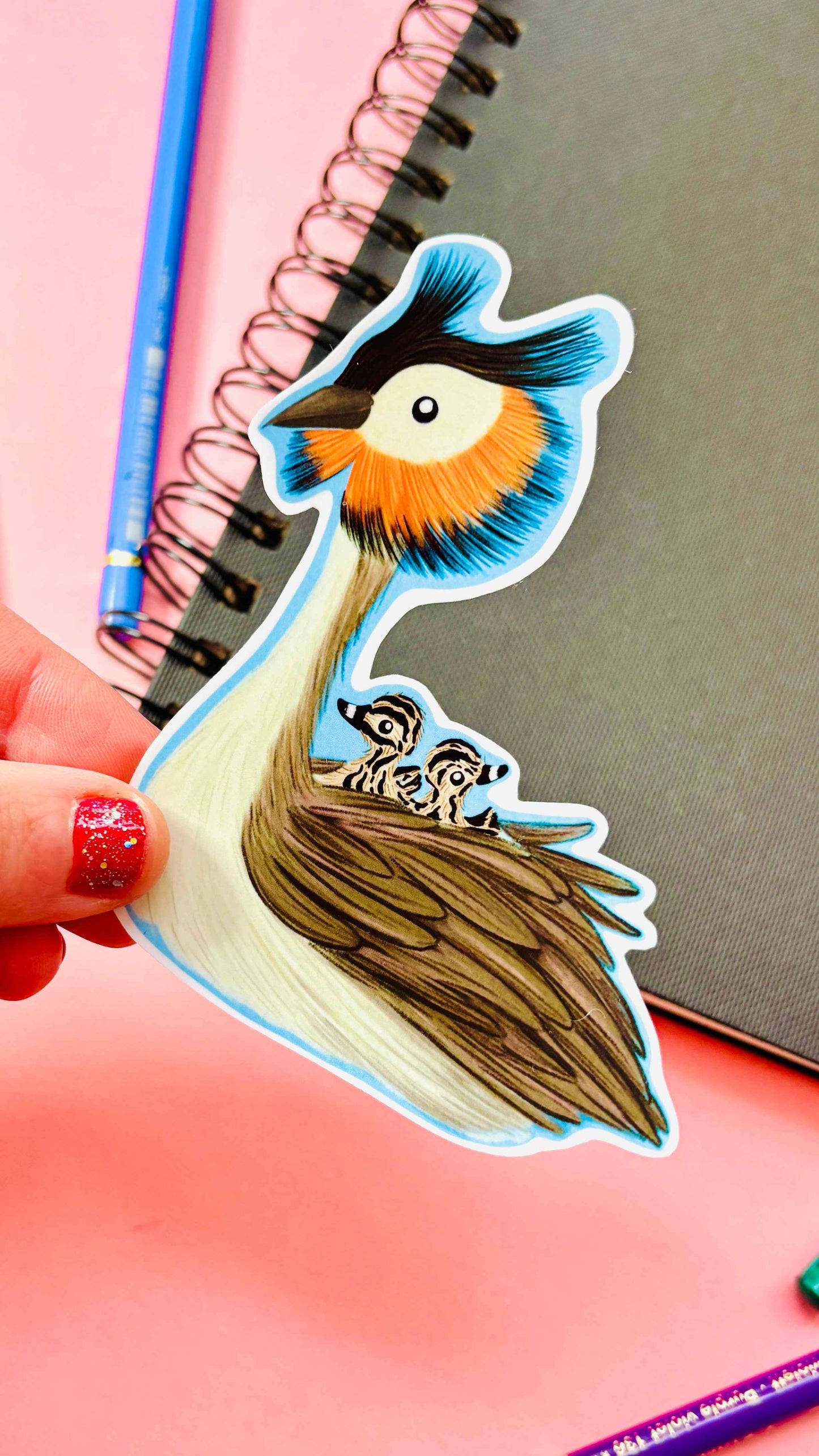 Birbfest 2025 Illustrated Birds 10cm Vinyl Sticker