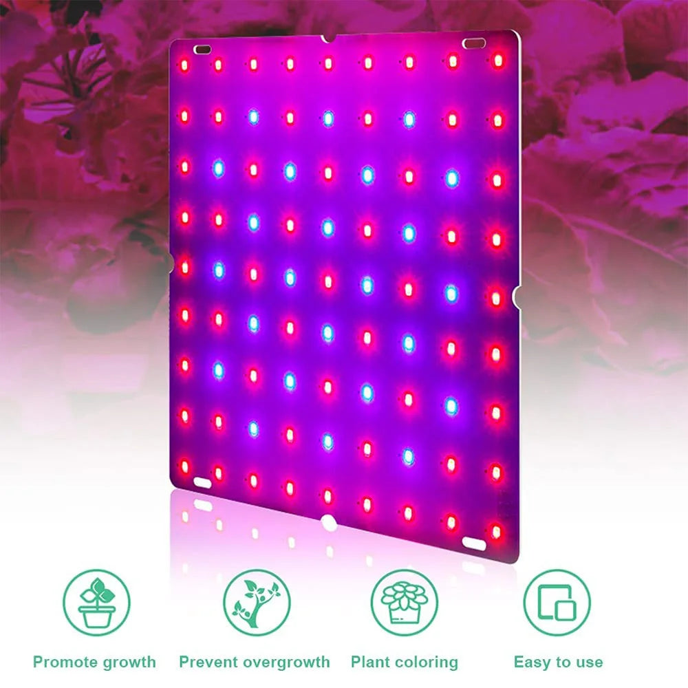 LED Plant Grow Light 1000W/2000W Full Spectrum Hydroponic
