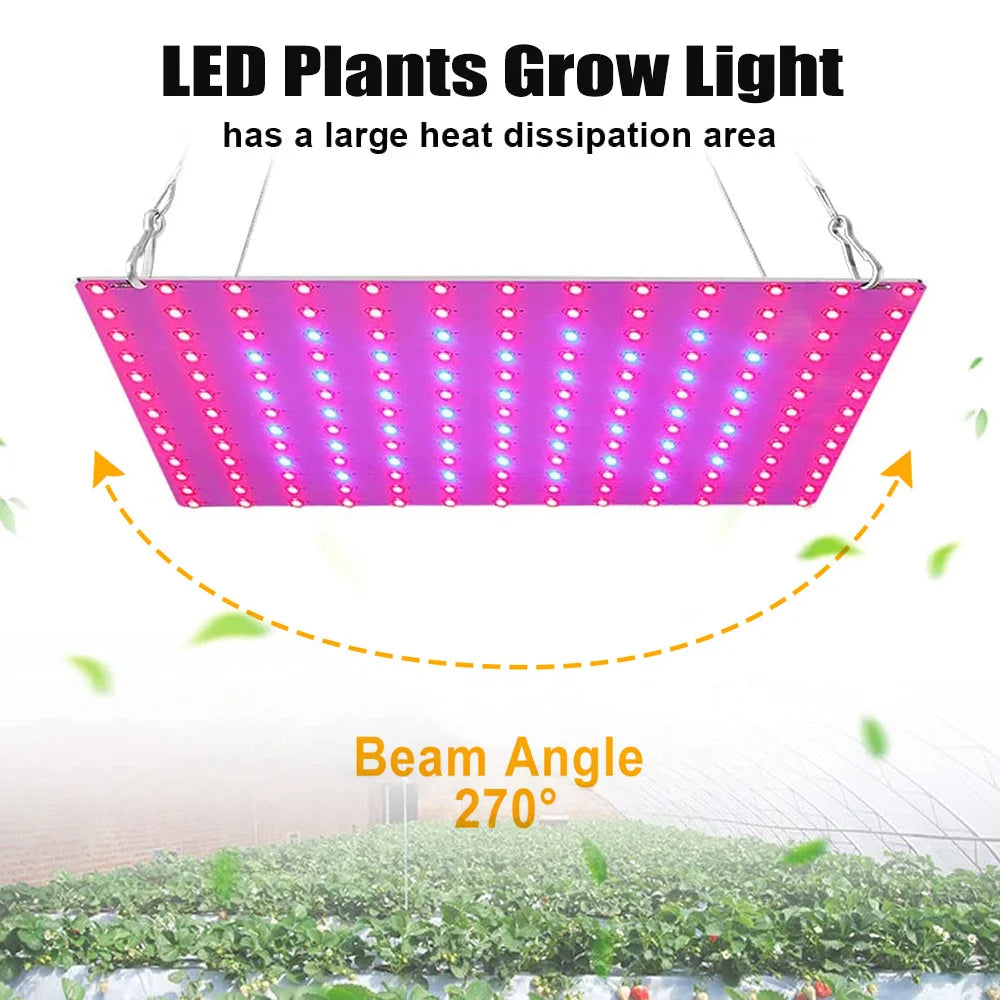 LED Plant Grow Light 1000W/2000W Full Spectrum Hydroponic