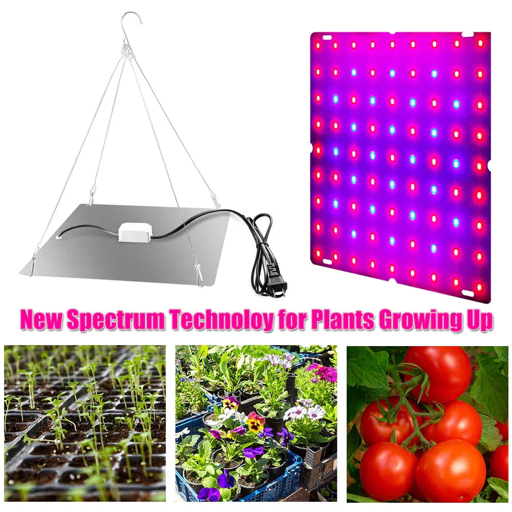 LED Plant Grow Light 1000W/2000W Full Spectrum Hydroponic