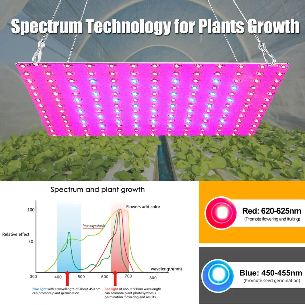 LED Plant Grow Light 1000W/2000W Full Spectrum Hydroponic