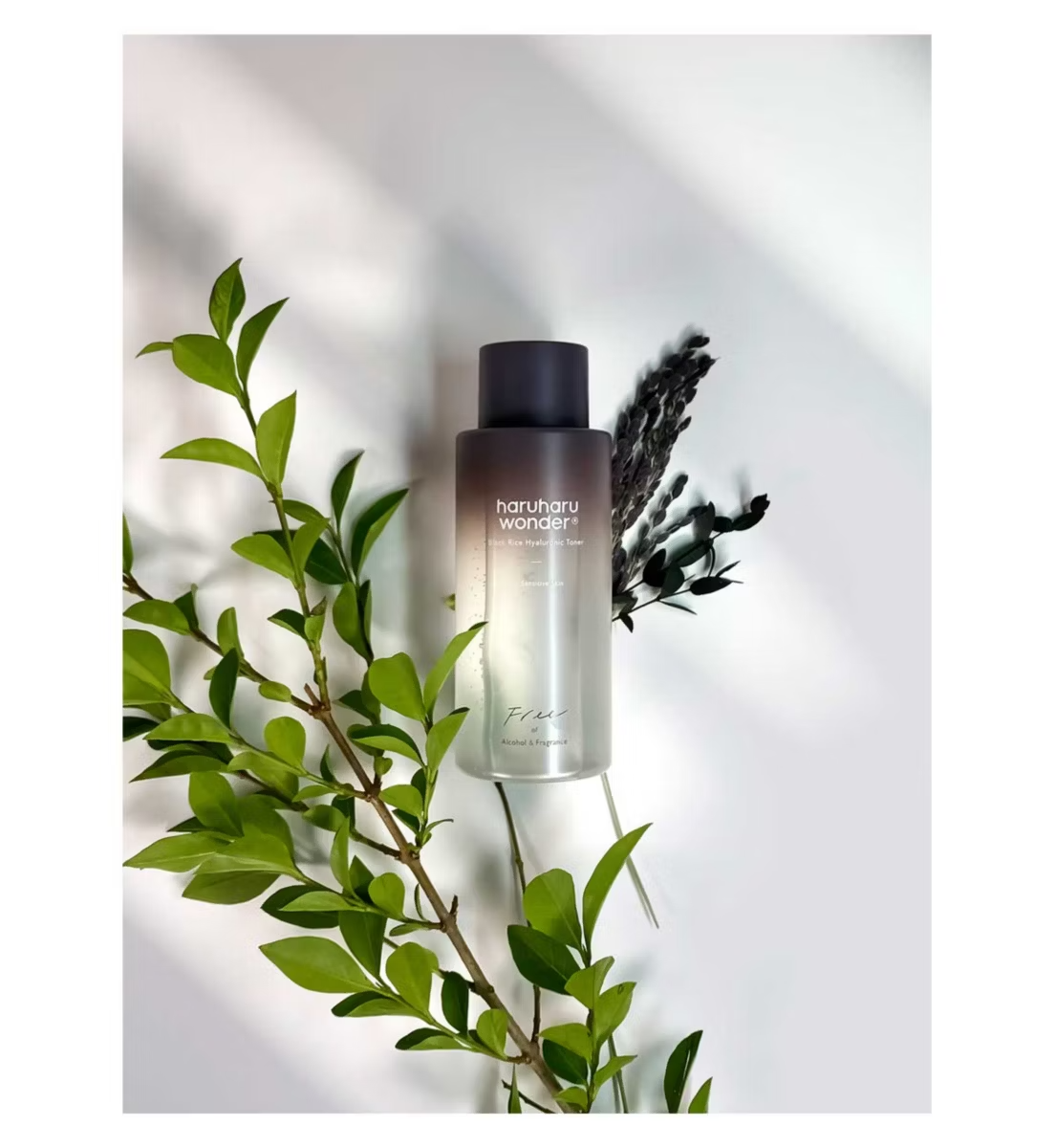 Haruharu WONDER - Black Rice Hyaluronic Toner - Fragrance Free - 150ml