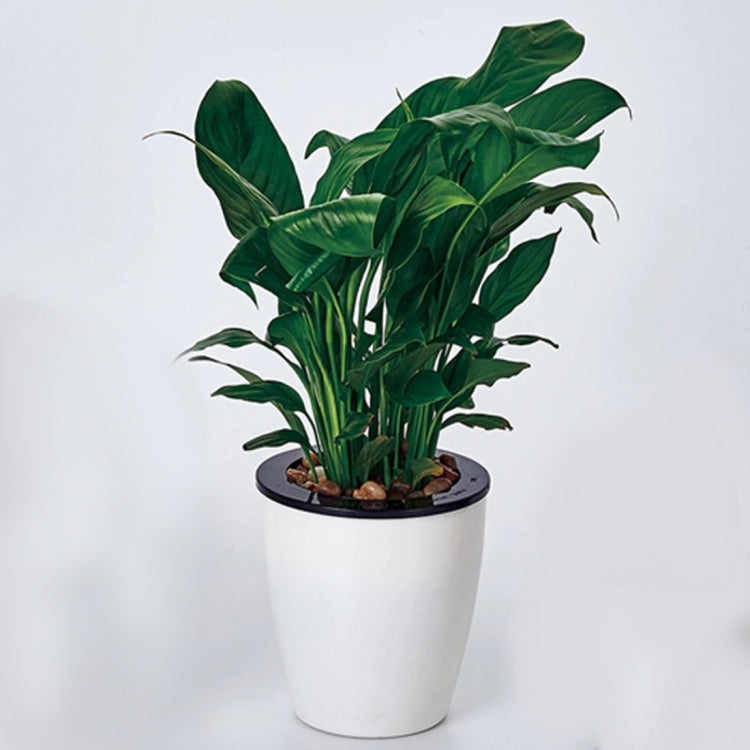 Lazy Flower Pots Automatic Water-absorbing Hydroponic Potted Plants Circular Resin Plastic Flower Pots Double-layer Design Self Watering Planter, Diameter: 13cm, Height: 13.7cm