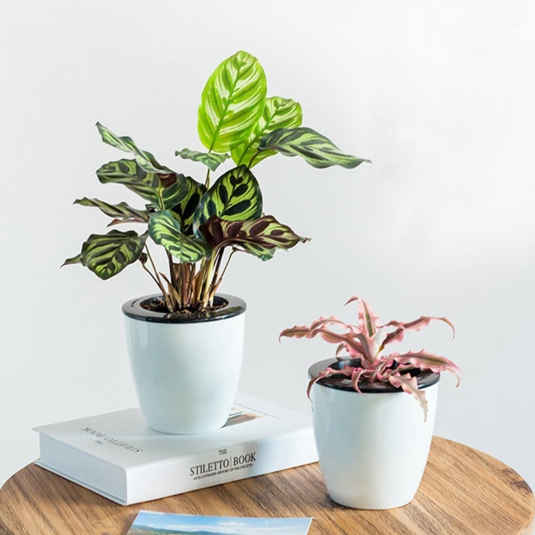 Lazy Flower Pots Automatic Water-absorbing Hydroponic Potted Plants Circular Resin Plastic Flower Pots Double-layer Design Self Watering Planter, Diameter: 13cm, Height: 13.7cm