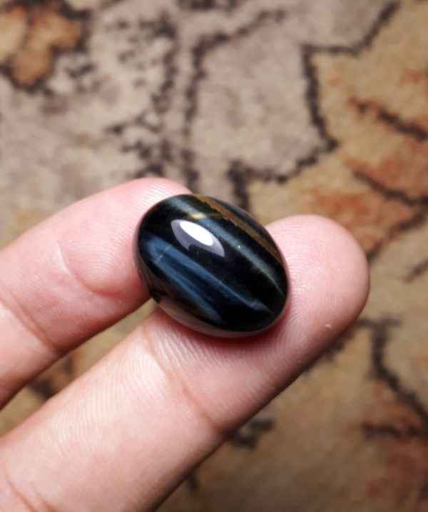 22.3ct Hawk's Eye Cabochon , Falcon's Eye, Blue Tiger's Eye, Blue Asbestos - 15x20mm