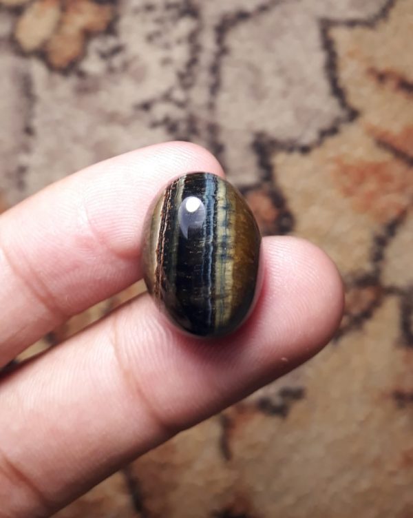 22.2ct Hawk's Eye Cabochon , Falcon's Eye, Blue Tiger's Eye, Blue Asbestos - 20x15mm