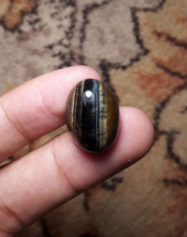 23.3ct Hawk's Eye Cabochon , Falcon's Eye, Blue Tiger's Eye, Blue Asbestos - 20x15mm