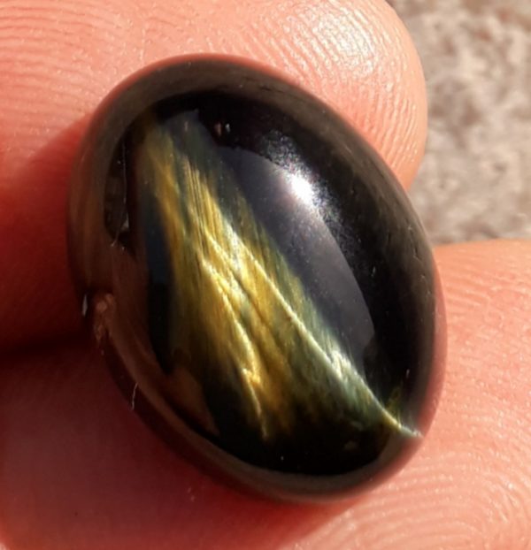 14.6ct Hawk's Eye Cabochon , Falcon's Eye, Blue Tiger's Eye, Blue Asbestos - 13x18mm