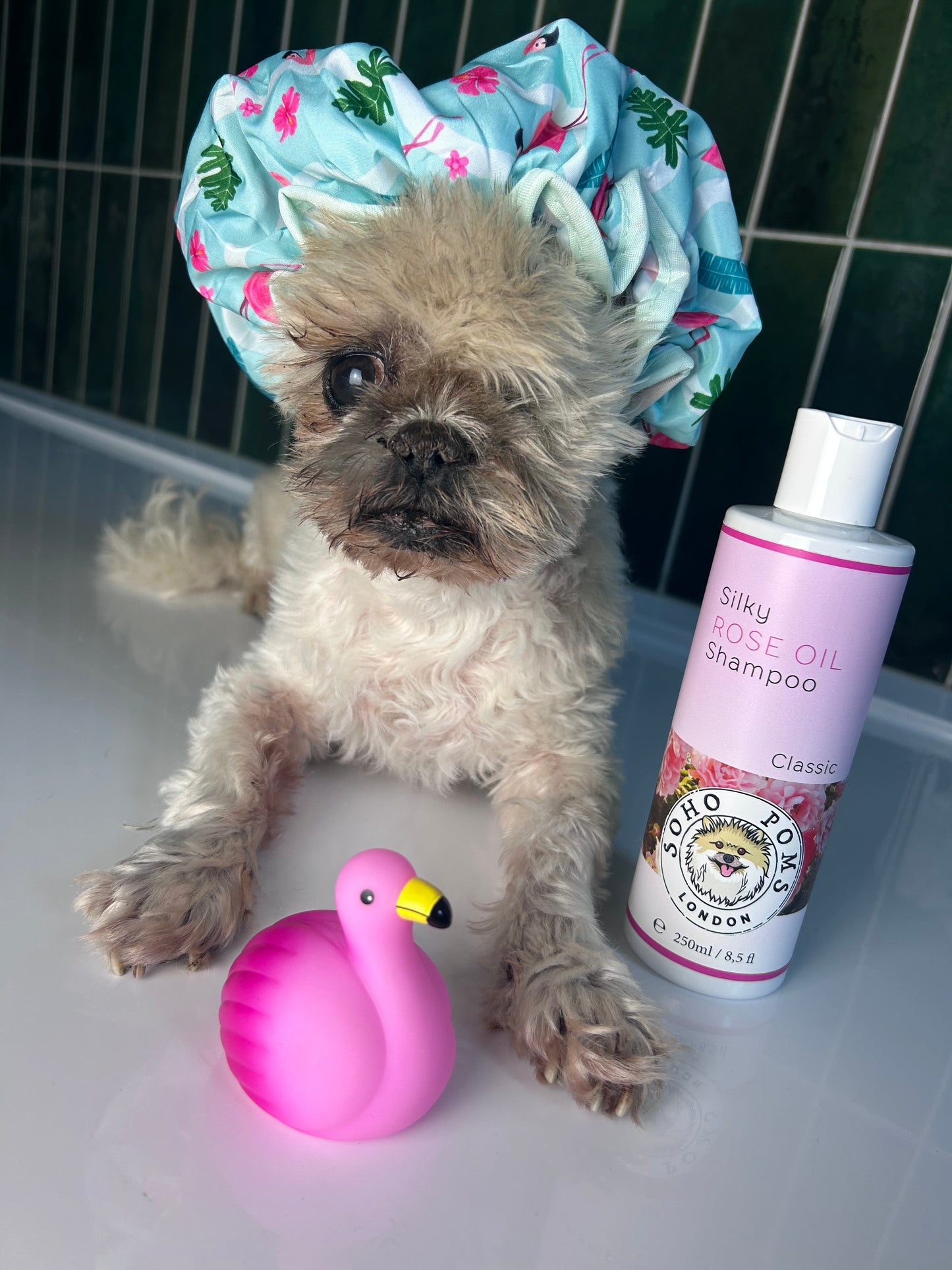 Rose Oil Dog Shampoo by SohoPoms - 250ml
