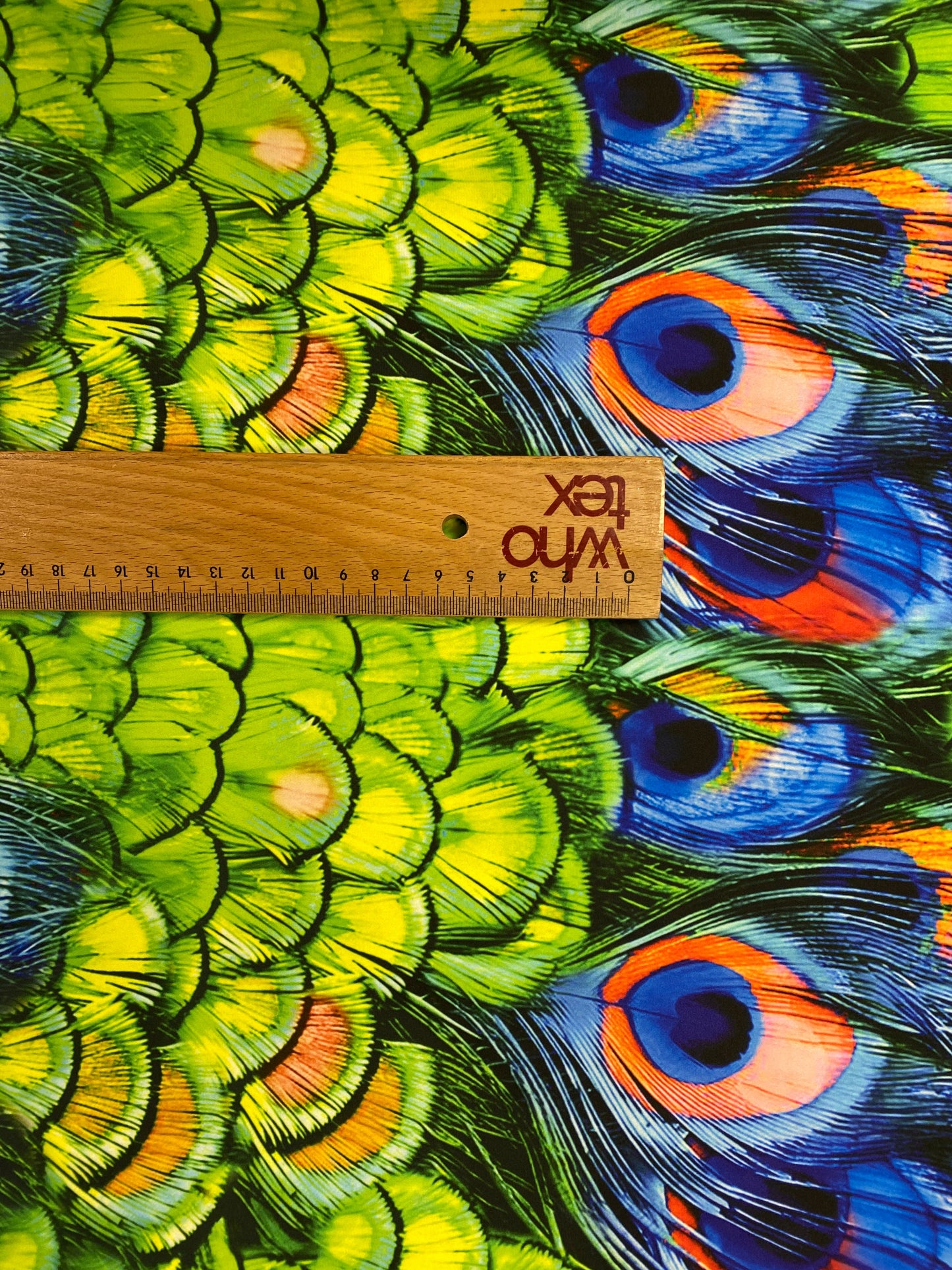 Peacock Feather Fabric By Metre