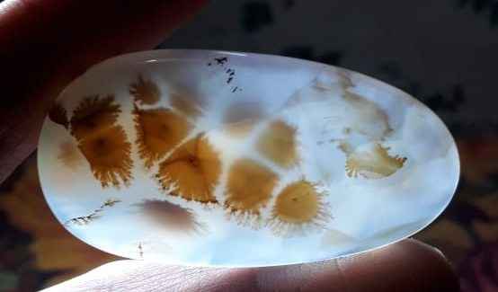 Rare BigSizze Dendritic Agate شجری عقیق