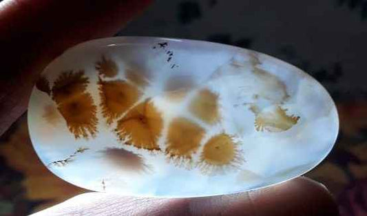 Rare BigSizze Dendritic Agate شجری عقیق
