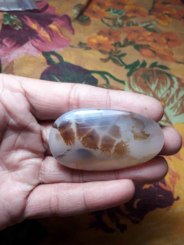 Rare BigSizze Dendritic Agate شجری عقیق
