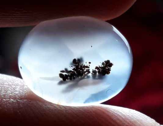 4.9ct Natural Dendritic Agate - Shajri Aqeeq -16x12mm