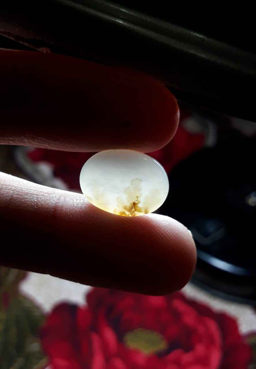 8.1ct Natural Dendritic Agate - Shajri Aqeeq -17x11mm