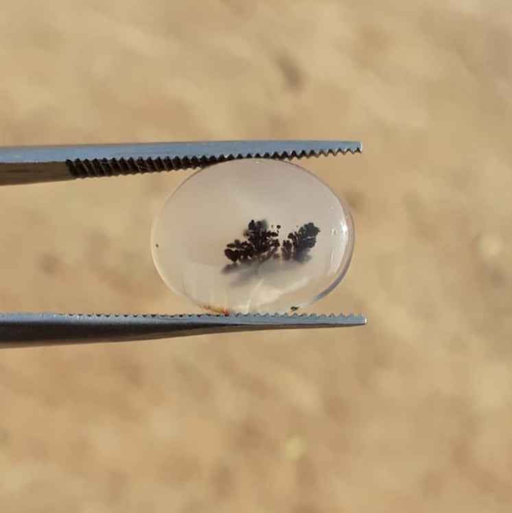 4.9ct Natural Dendritic Agate - Shajri Aqeeq -16x12mm