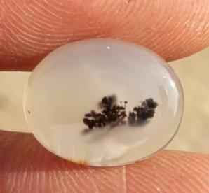 4.9ct Natural Dendritic Agate - Shajri Aqeeq -16x12mm