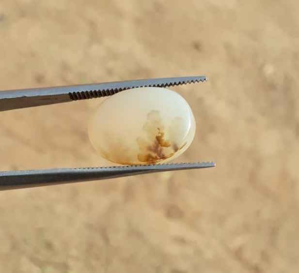 8.1ct Natural Dendritic Agate - Shajri Aqeeq -17x11mm