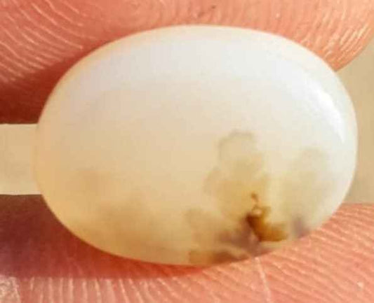 8.1ct Natural Dendritic Agate - Shajri Aqeeq -17x11mm