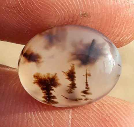6.7ct Natural Dendritic Agate - Shajri Aqeeq -16x13mm