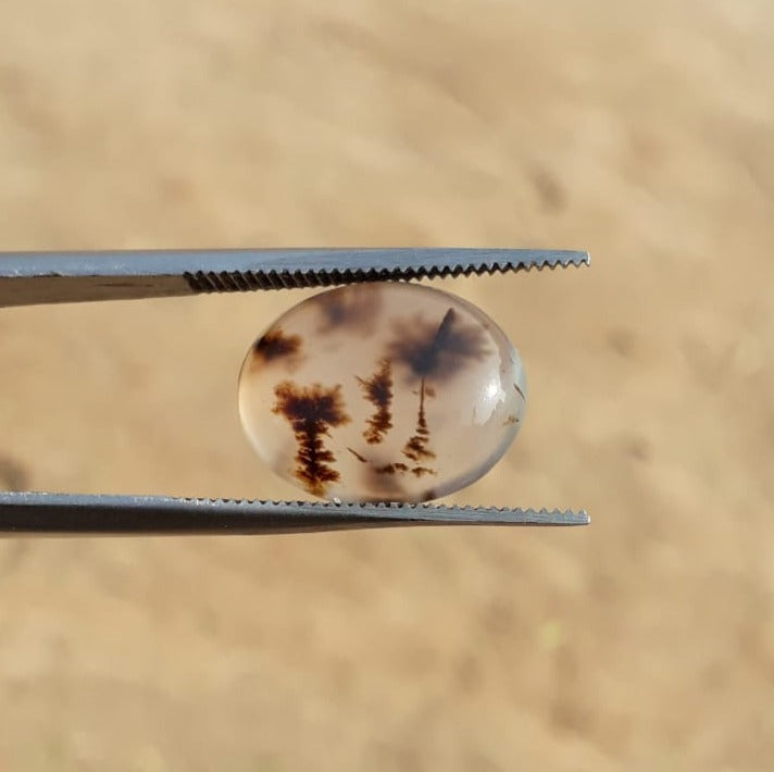 6.7ct Natural Dendritic Agate - Shajri Aqeeq -16x13mm