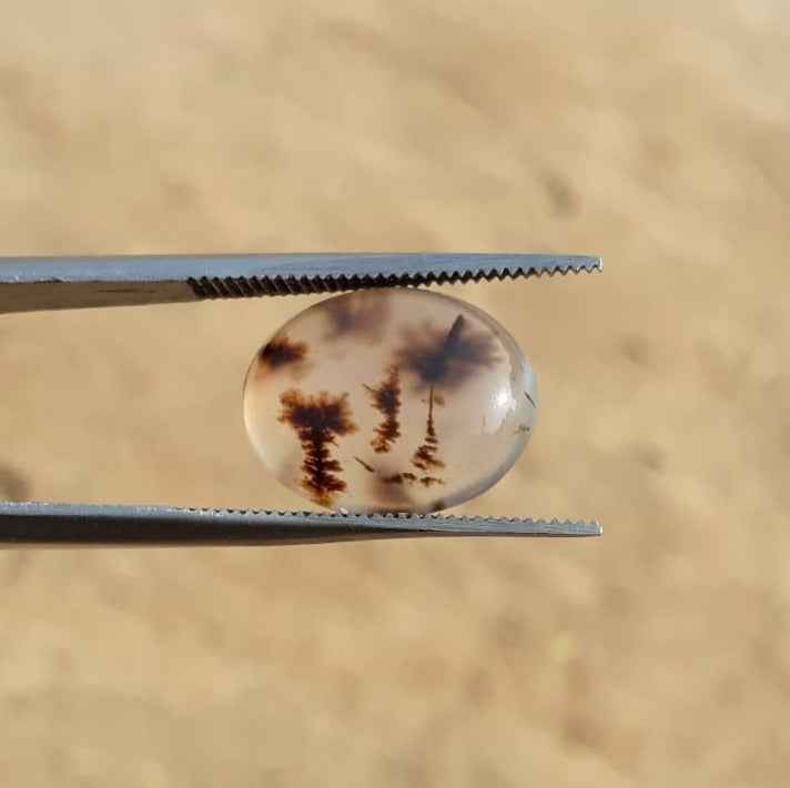 6.7ct Natural Dendritic Agate - Shajri Aqeeq -16x13mm