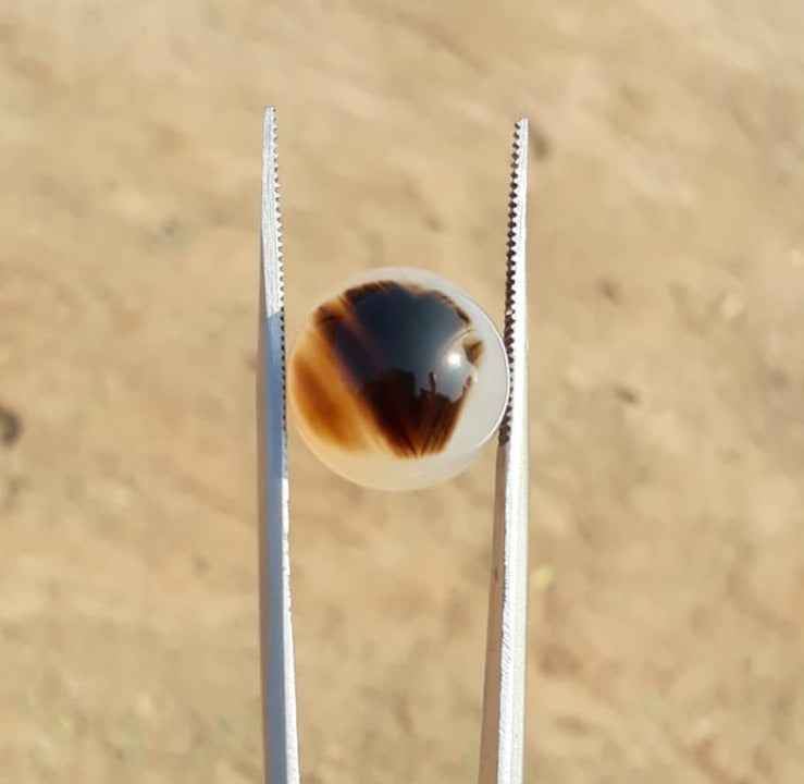 15.2ct Natural Dendritic Agate - Shajri Aqeeq -15x15mm