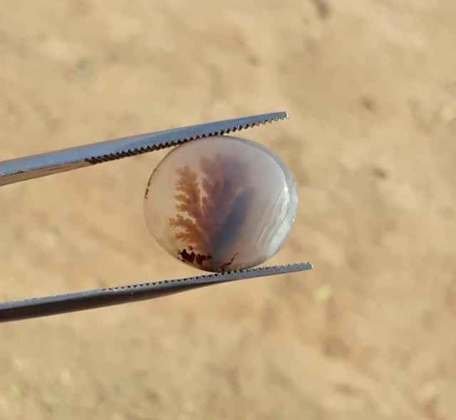 7.2ct Natural Dendritic Agate - Shajri Aqeeq -16x14mm