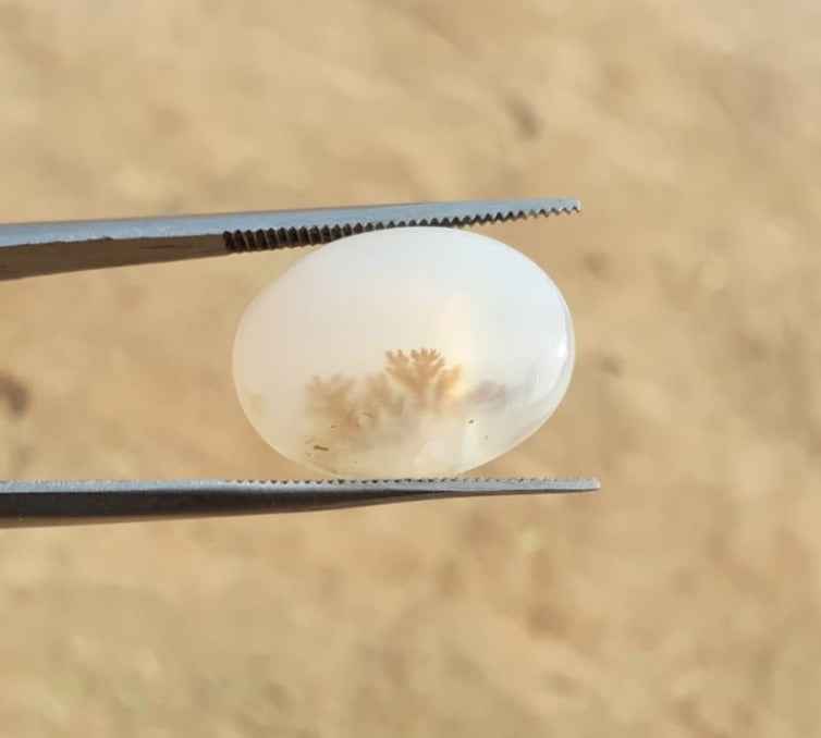 12.4ct Natural Dendritic Agate - Shajri Aqeeq -21x16mm