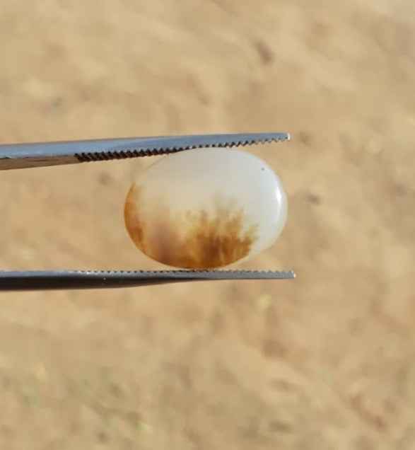 7.8ct Natural Dendritic Agate - Shajri Aqeeq -17x14mm