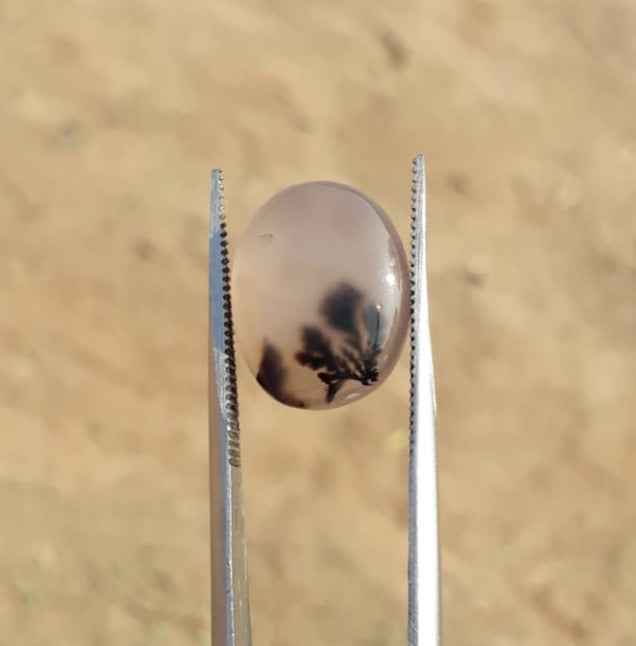 8.2ct Natural Dendritic Agate - Shajri Aqeeq -14x11mm