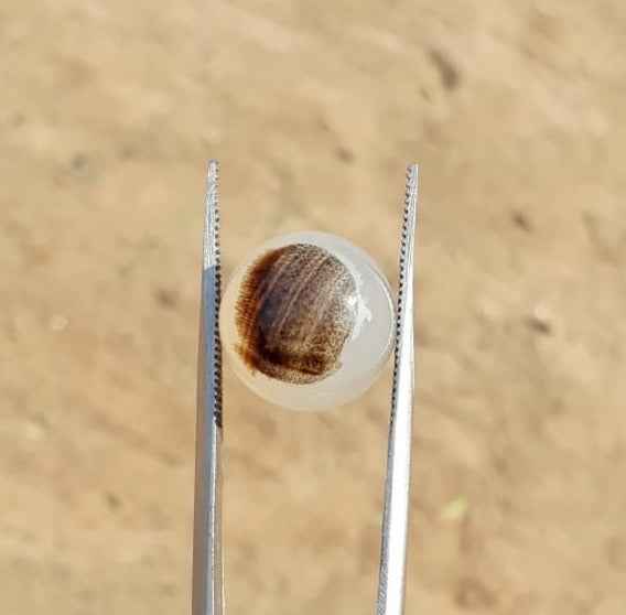 15.2ct Natural Dendritic Agate - Shajri Aqeeq -15x15mm