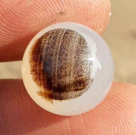 15.2ct Natural Dendritic Agate - Shajri Aqeeq -15x15mm