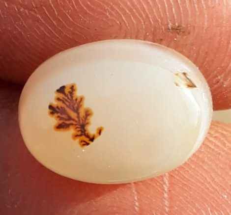 8.6ct Natural Dendritic Agate - Shajri Aqeeq -15x11mm