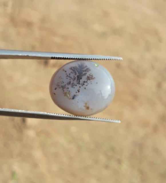 15.5ct Natural Dendritic Agate - Shajri Aqeeq -20x17mm