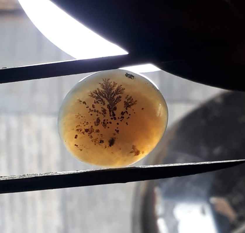 15.5ct Natural Dendritic Agate - Shajri Aqeeq -20x17mm