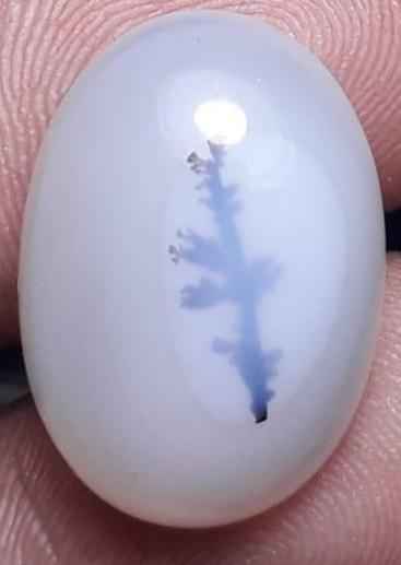 18.1ct Natural Dendritic Agate - Shajri Aqeeq -21x15mm